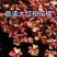 陕西大红袍干梅花花椒，无杂，去杆，去籽，纯净颗粒