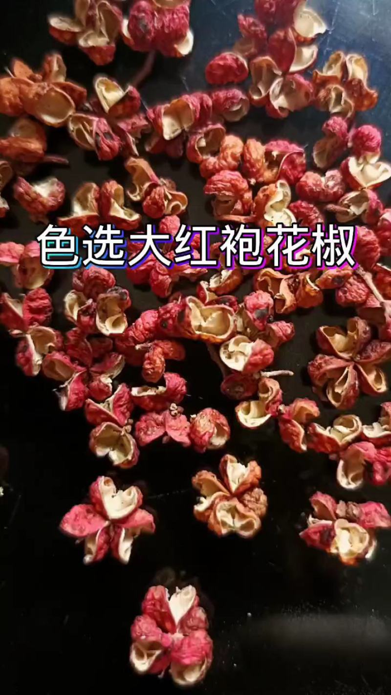 陕西大红袍干梅花花椒，无杂，去杆，去籽，纯净颗粒