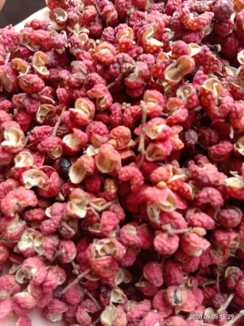 陕西大红袍干梅花花椒，无杂，去杆，去籽，纯净颗粒