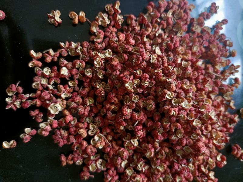 陕西大红袍干梅花花椒，无杂，去杆，去籽，纯净颗粒
