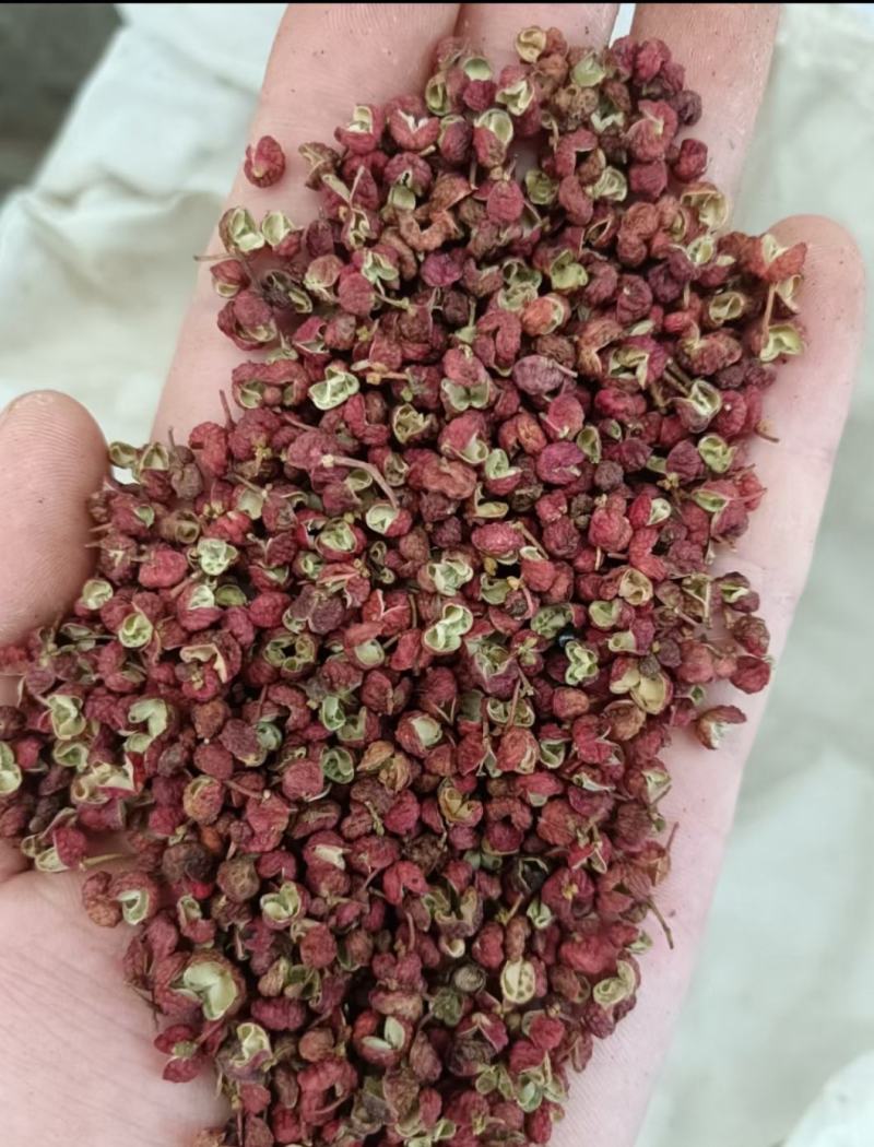 陕西富平大红袍花椒调味品火锅底料净颗粒农副产品