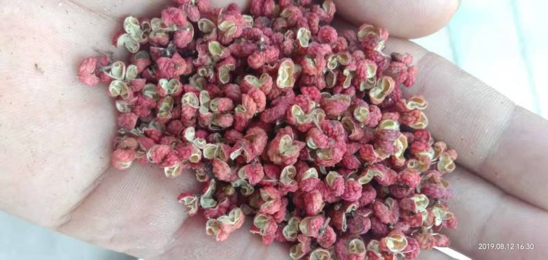 陕西富平大红袍花椒调味品火锅底料净颗粒农副产品