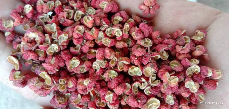 陕西富平大红袍花椒调味品火锅底料净颗粒农副产品
