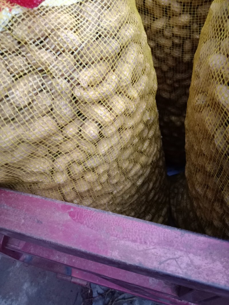 鲜花生罗汉果过筛人工挑选，货量充足专业团队