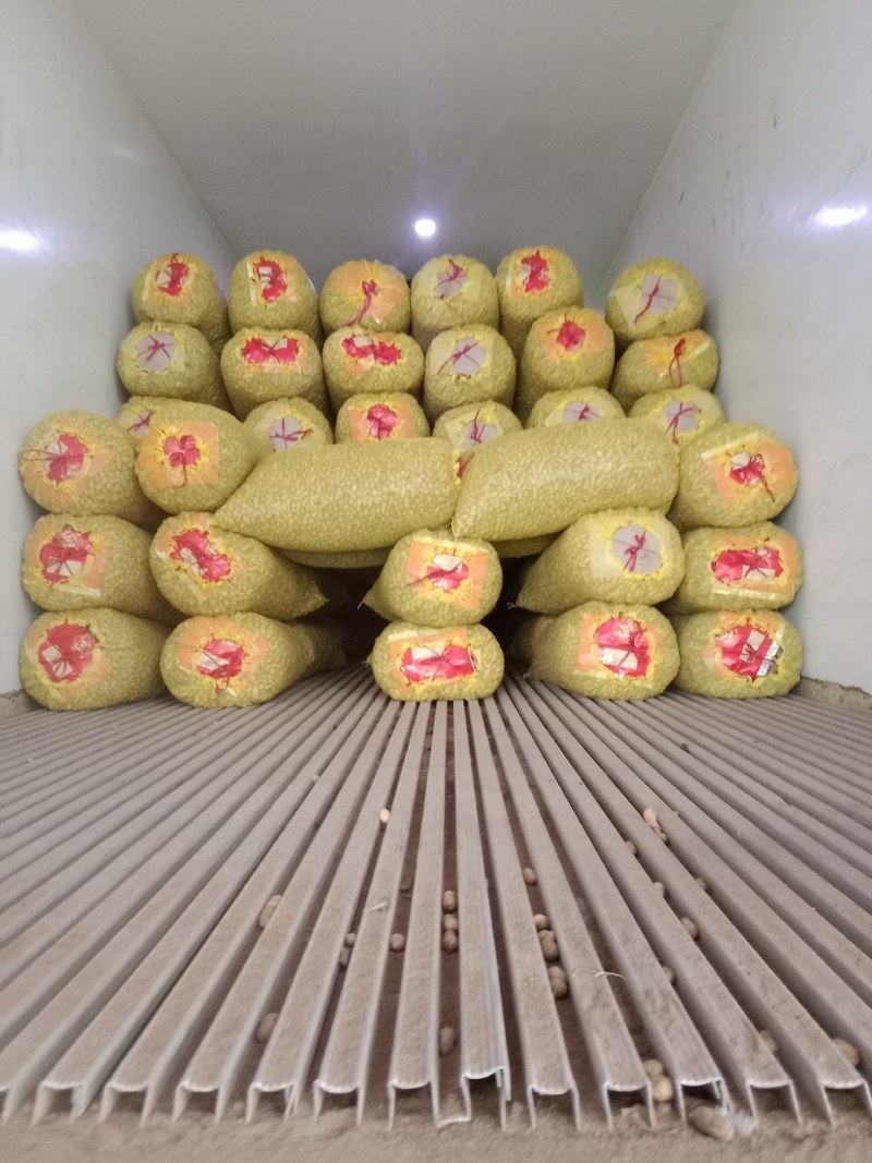 鲜花生罗汉果过筛人工挑选，货量充足专业团队