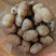 山东滕州土豆,精品黄心土豆,大量供应,对接加工厂食堂