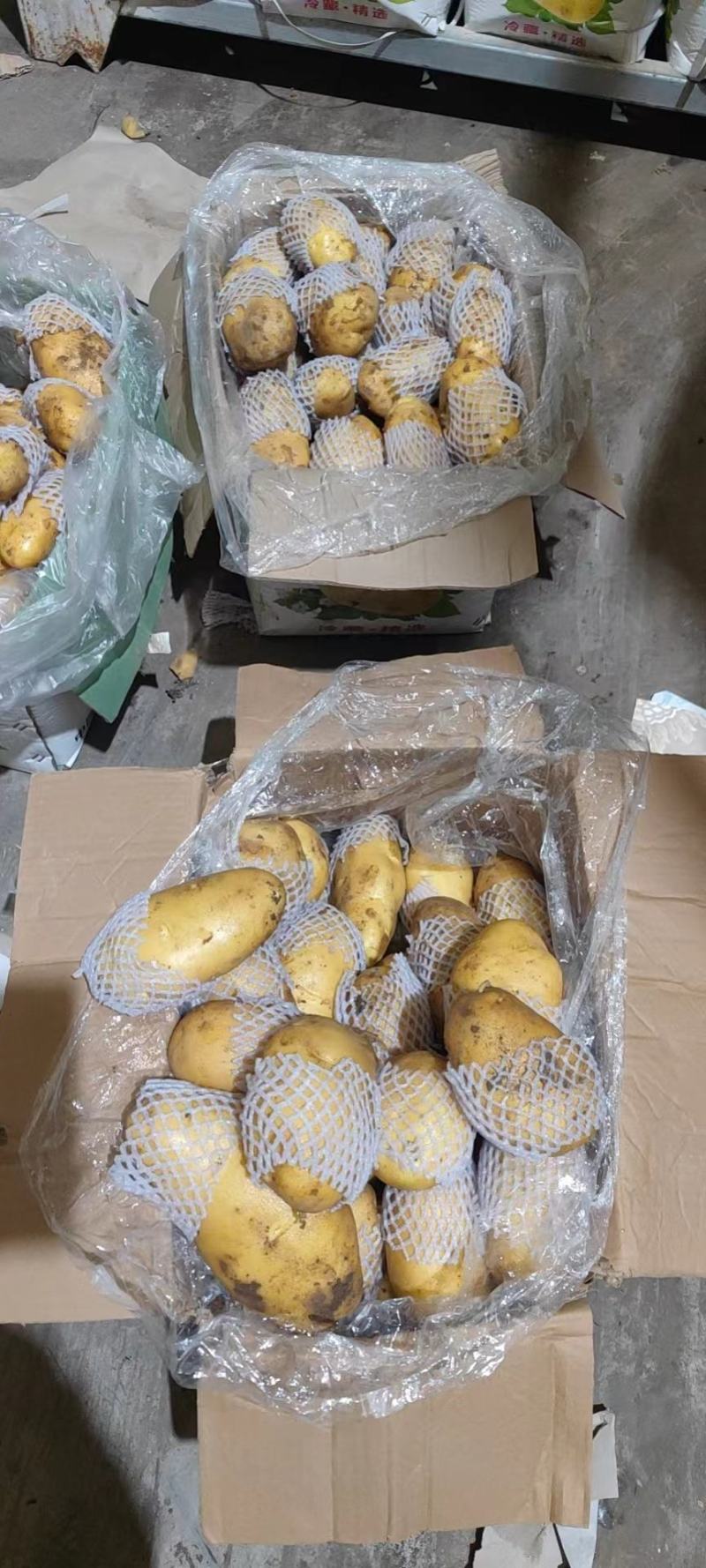 山东滕州土豆，精品黄心土豆，大量供应，对接加工厂食堂