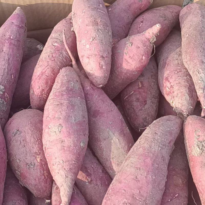 河北邯郸西瓜红薯大量供应中