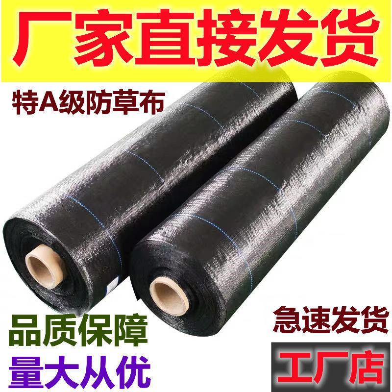 防草布除草布抗老化大棚果园果树遮盖草布膜农用园艺