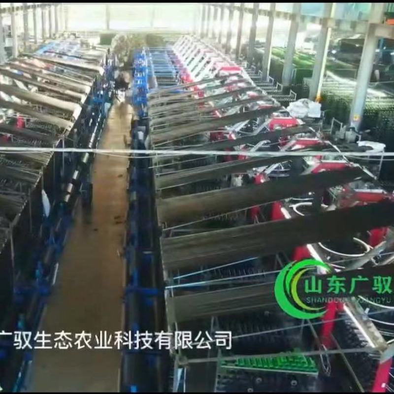 防草布除草布抗老化大棚果园果树遮盖草布膜农用园艺