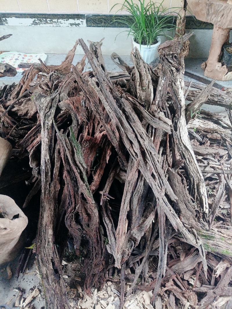 云南降真香