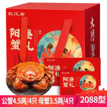 阳澄湖大闸蟹蟹礼卷卡4.5两公蟹4/只母蟹3.5两／4只