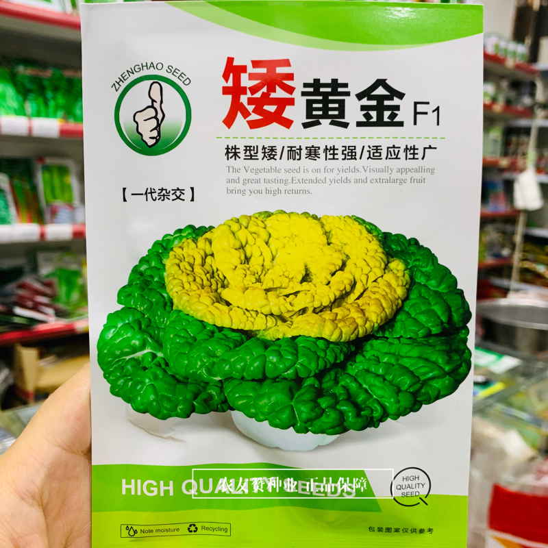 乌塌菜种子