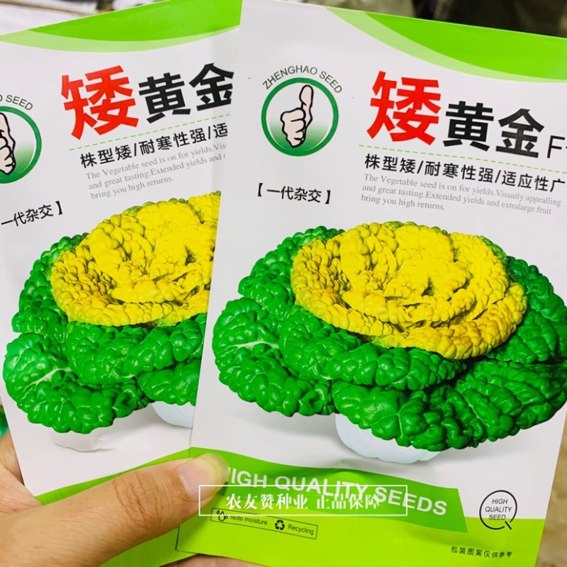 乌塌菜种子