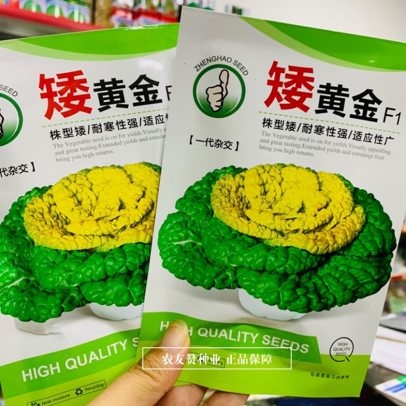 乌塌菜种子