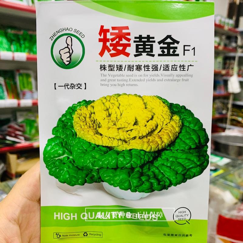 乌塌菜种子