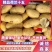 山东精品荷兰十五土豆产地直供量从从优对接全国商超