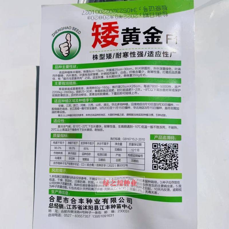 杂交矮黄金黄心乌塌菜种子株型矮耐寒黄心乌种子黄心菜种子
