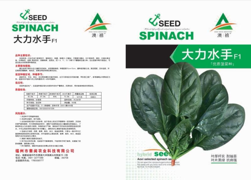 趴地大力水手菠菜种子早熟高产抗病耐寒秋季种植菠菜种孑