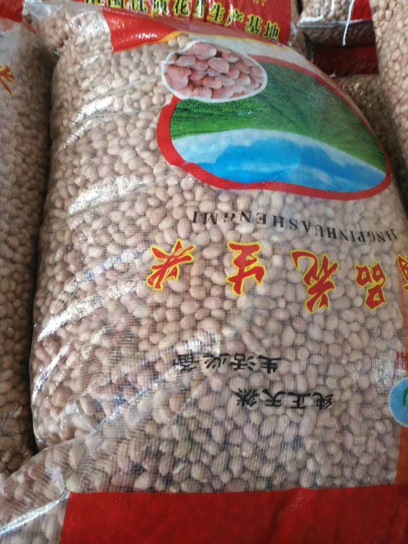 河南2026年新花生米通货，油料米，高油率。