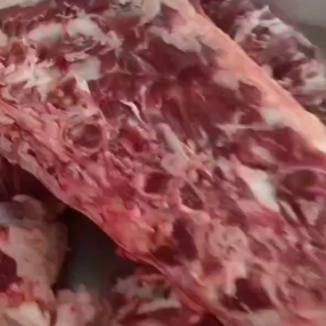 多肉牛脊骨