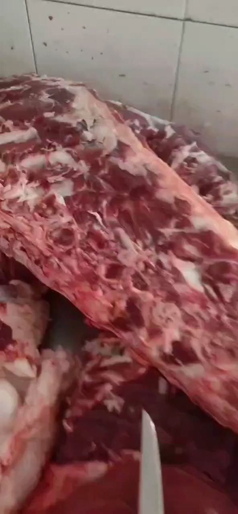 多肉牛脊骨