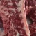 多肉牛脊骨