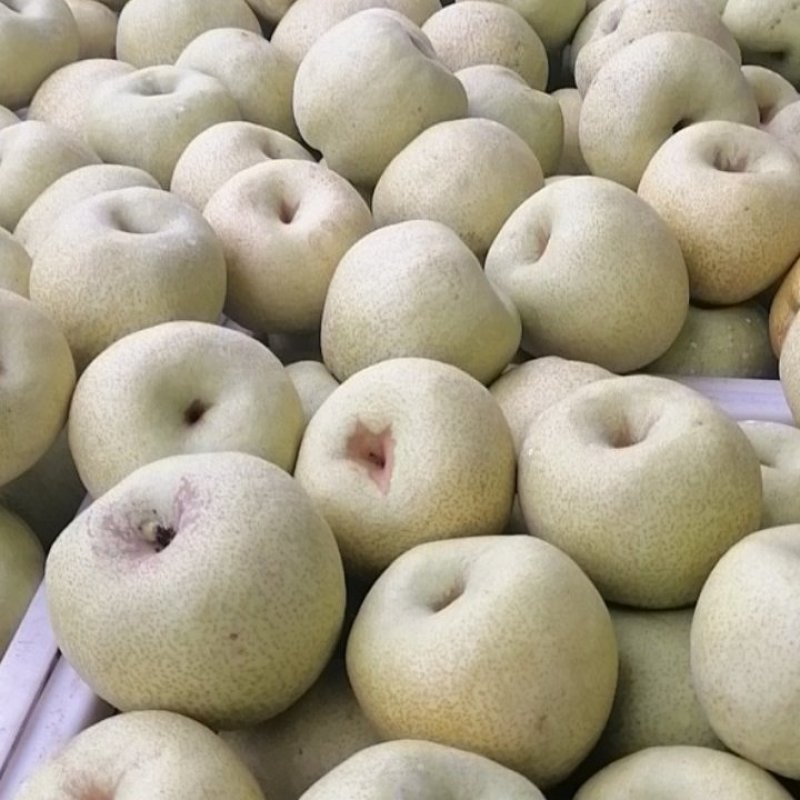 酥梨，口感好，价格低