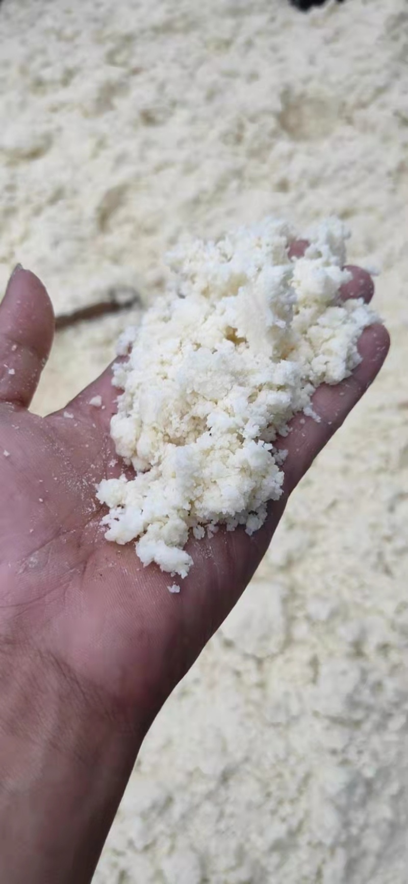 豆渣饲料新鲜豆渣大量有货欢迎来电咨询