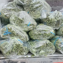 产地直发有需要的老板联系
