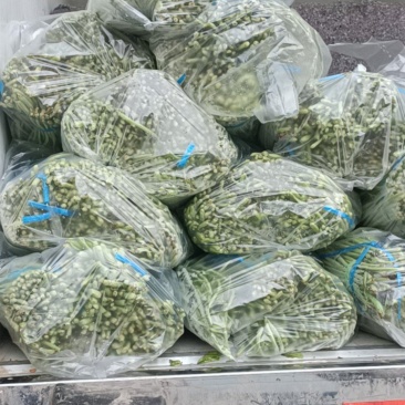 产地直发有需要的老板联系