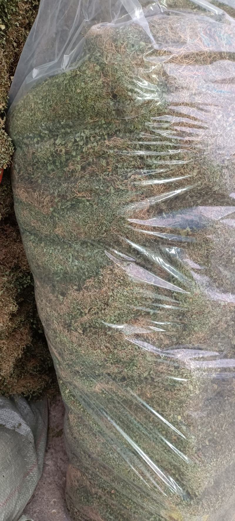 马蹄金，小叶金钱草，自然晒干一手货源产地发货