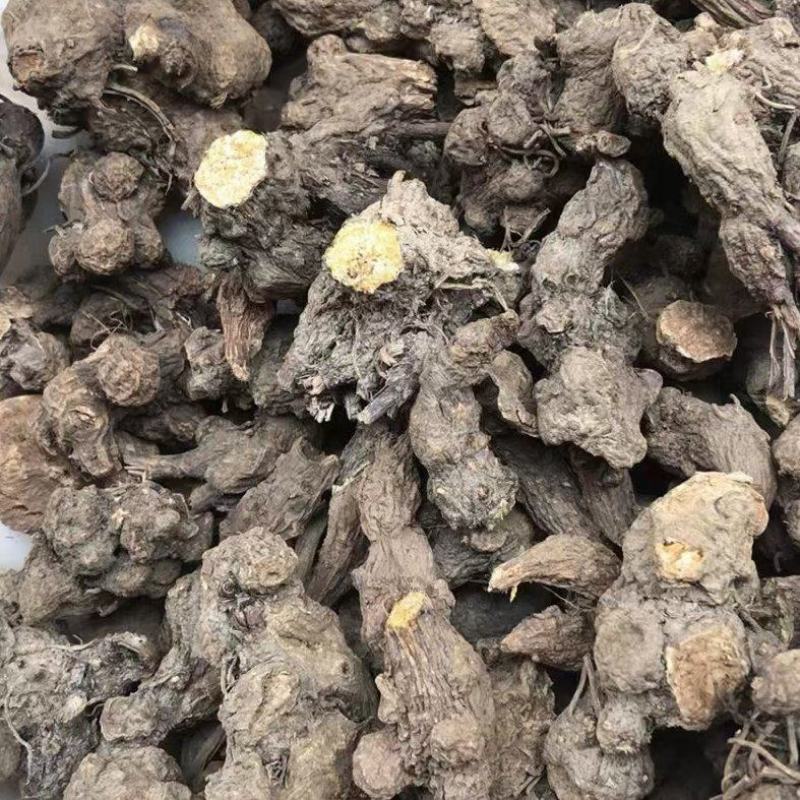 苍术新货苍术干货统货个子仓术南苍术茅苍术