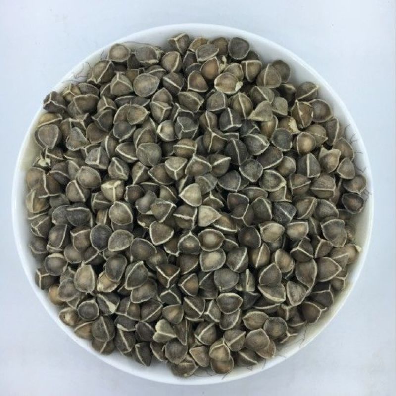 【辣木籽】中药材老树辣木籽颗粒饱满灰黑色大果包邮
