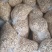 南漪湖野生小菱角米量大优惠