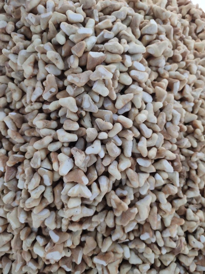 南漪湖野生小菱角米量大优惠