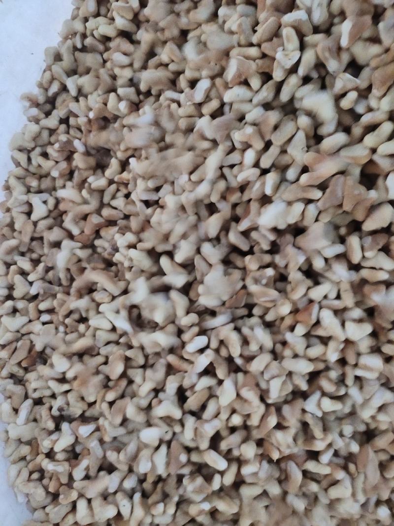 南漪湖野生小菱角米量大优惠