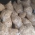 南漪湖野生小菱角米量大优惠