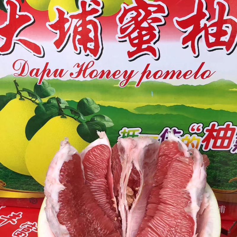 梅州大埔蜜柚