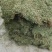 马蹄金，金钱草，化石草又叫小叶金钱草干品，