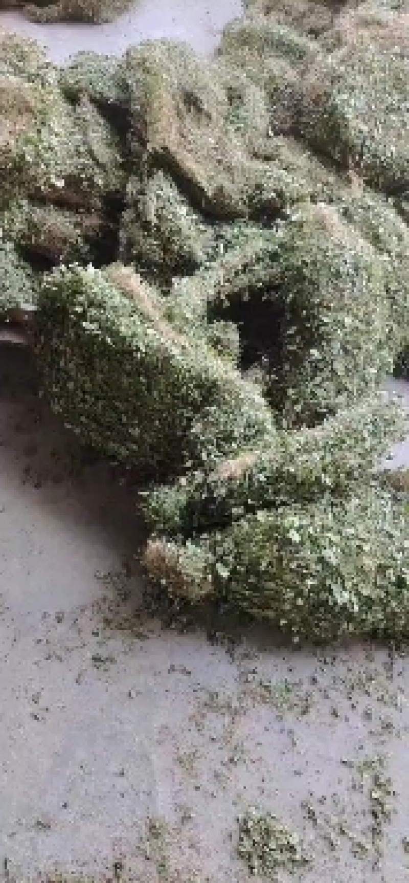 马蹄金，金钱草，化石草又叫小叶金钱草干品，