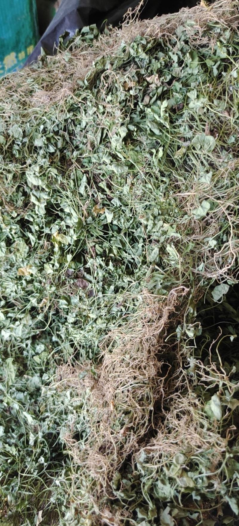 马蹄金，金钱草，化石草又叫小叶金钱草干品，
