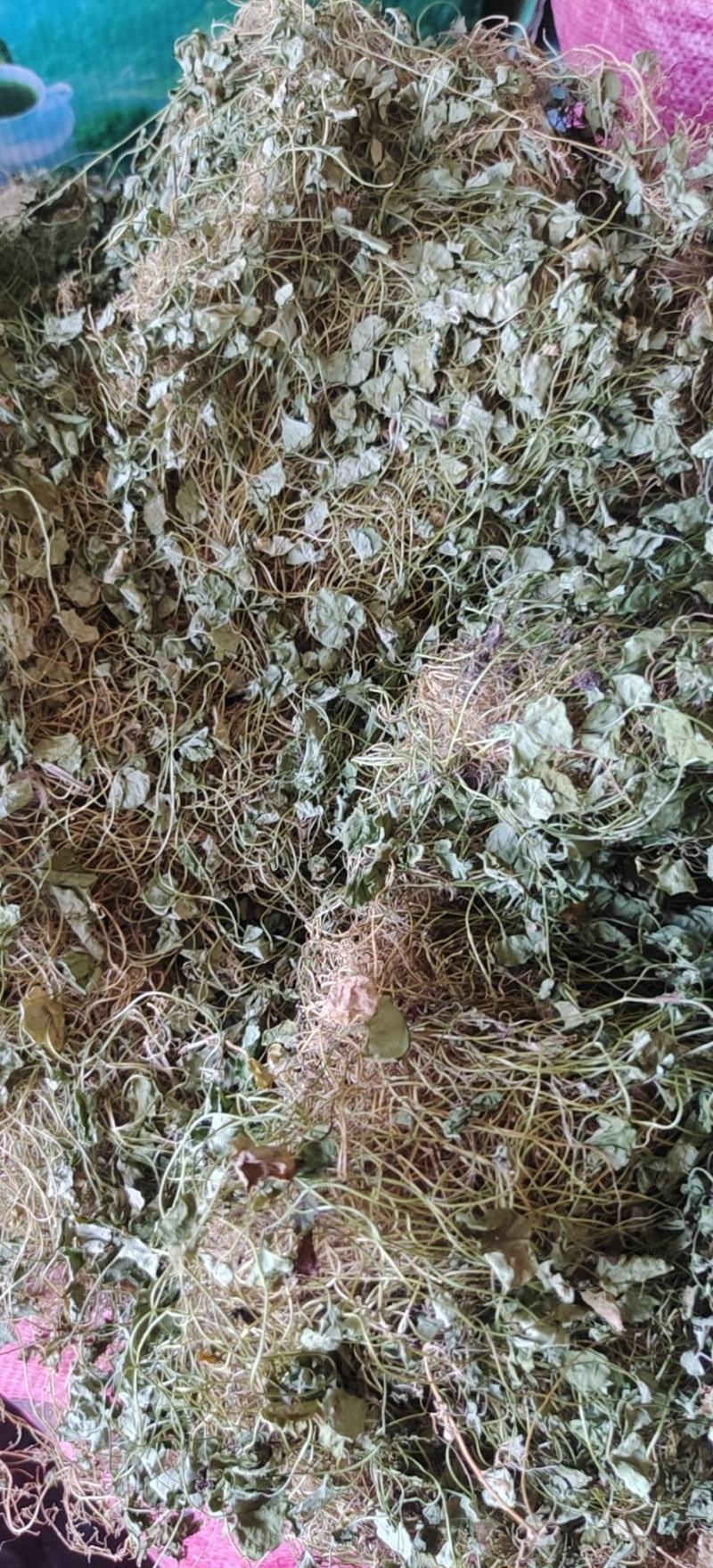 马蹄金，金钱草，化石草又叫小叶金钱草干品，