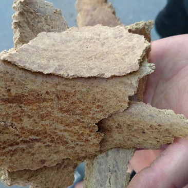 薄片花生饼纯花生饼品质保证动物育肥香味浓郁自家榨油厂