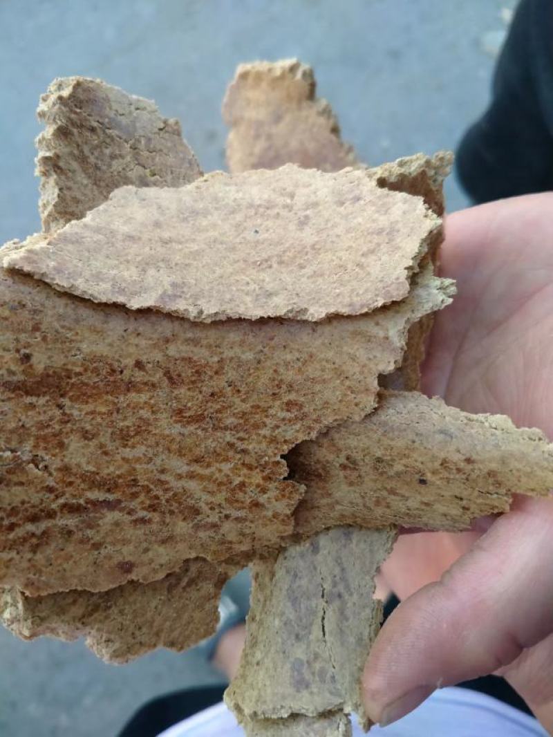 薄片花生饼纯花生饼品质保证动物育肥香味浓郁自家榨油厂