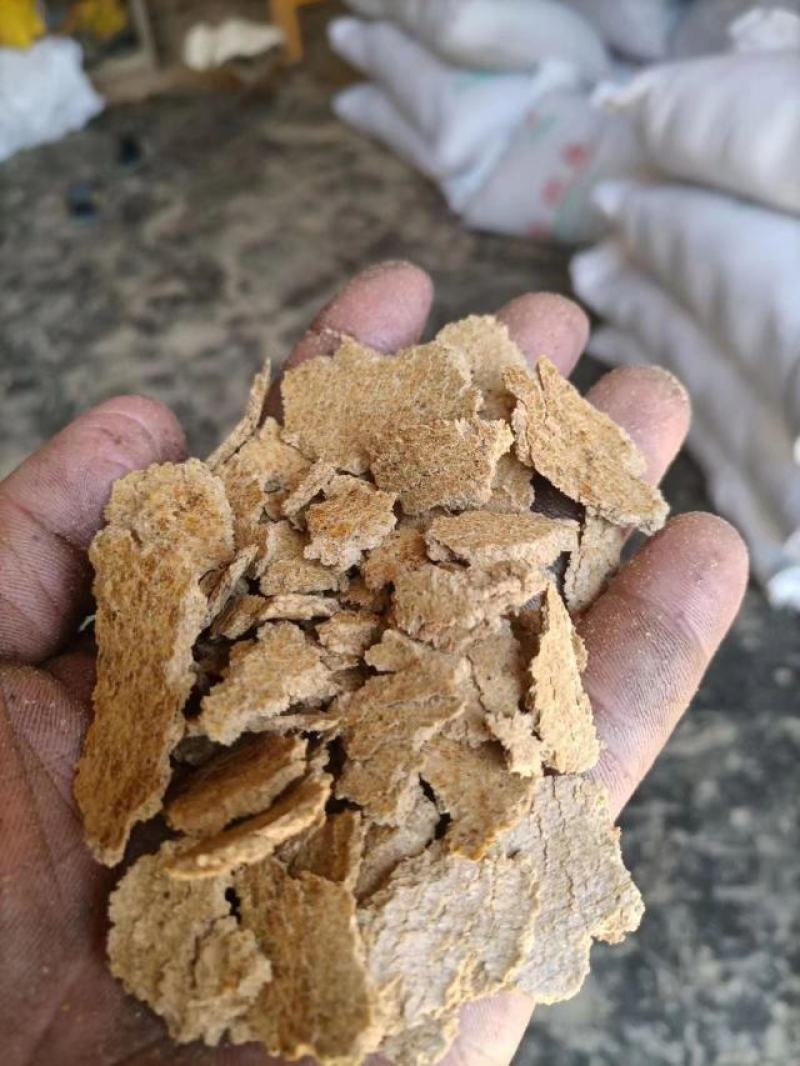 薄片花生饼纯花生饼品质保证动物育肥香味浓郁自家榨油厂
