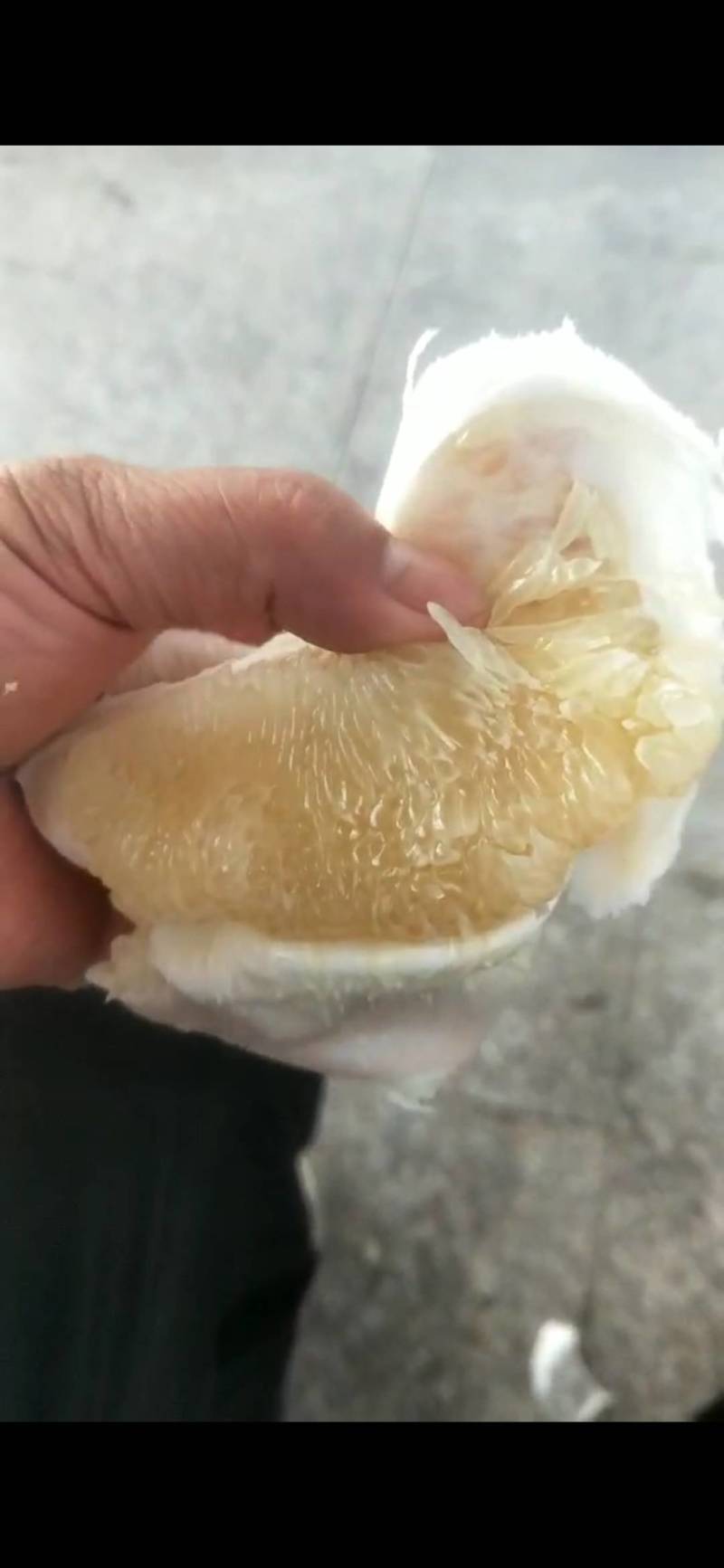 白柚