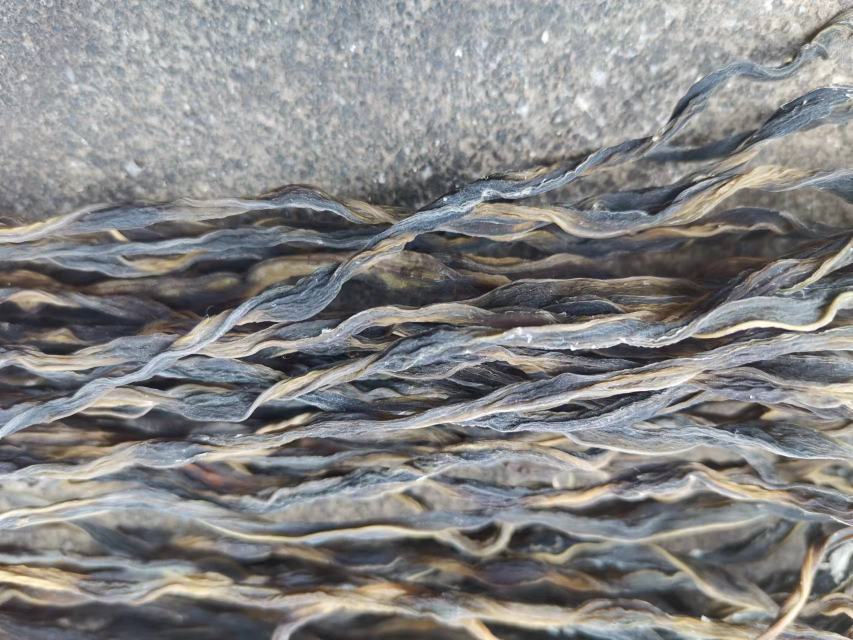 晾晒完成的干豆角,呈现典型的深黑色外观 干豆角成品展示