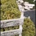 泽山一号白玫瑰，现在大量上市，皮薄糖度高
