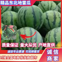 【牛】沈阳地雷西瓜，产地一手好瓜量大从优，一条龙服务